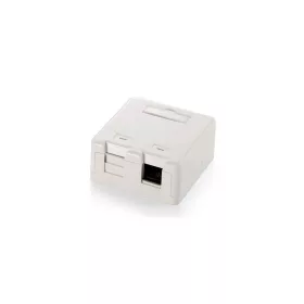   Equip Keystone Fali aljzat - 125122 (2 port, Cat5e/Cat6/Cat6A, árnyékolatlan, porvédő, fehér)