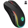 Everest Vezeték nélküli Egér - SM-W75 -X-RAPID (1600 DPI, 6 gomb, optikai, fekete, RGB LED)