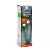 Szolár színes virág - 8 x 8 x 32 cm - 10 melegfehér LED - lila