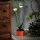 Szolár színes virág - 8 x 8 x 32 cm - 10 melegfehér LED - piros