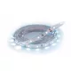 Strühm Late Led szalag, 24W/m, 2100lm/m, 6500K, IP65, 5 m / tekercs