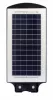 MasterLED Napelemes utcai lámpa 100 W-os