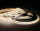 EcoLight LED COB szalag, 9W/m, 990lm/m, 4000K, IP20, 5 m / tekercs