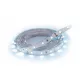 Strühm Late Led szalag, 4,8W/m, 420lm/m, 6500K, IP20, 5 m / tekercs