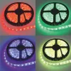 EcoLight RGB + 6000K led szalag, 14,4W/m, IP65, 5 m / tekercs