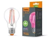Videx Fito Filament szálas növénynevelő Led 8 W-os E27-es foglalattal