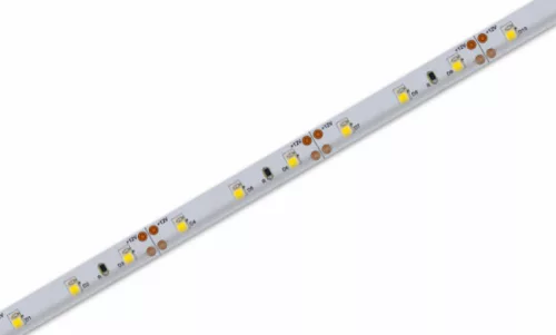 MasterLED LED szalag, 4,8W/m, 600lm/m, 6500K, IP65, 5 m / tekercs