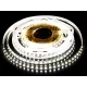 EcoLight 96W/m 600 lm/m, 4000K, IP20, 50m / tekercs